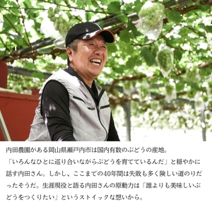 シャインマスカット1房（700g前後）内田農園 岡山県 瀬戸内市 邑久町産 葡萄 ぶどう 2025年【配達不可：北海道・沖縄・離島】 果物類 ブドウ フルーツ 