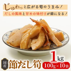 節だし筍（たけのこ）100g×10袋 N067-YA186