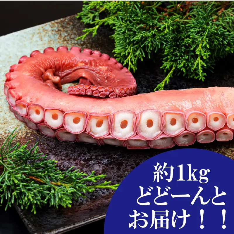 北海道北見市常呂産 ボイル水タコ足 約1kg前後 ( 海鮮 たこ 水タコ )【091-0010】