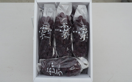【令和8年産先行予約】 デラウェア 1箱 (5房前後入り) ＋ 漆山ワイン (デラウェア) ＋ 高級ぶどう果汁100%ジュース ＋ 枝付き干しぶどう《令和8年7月中旬～発送》『漆山果樹園』 [785]
