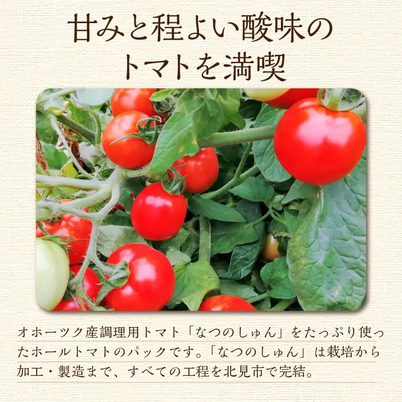 北海道オホーツク産 トマト『なつのしゅん』3kg 調理用ホールトマト ( 野菜 トマト 調理用 )【100-0013】