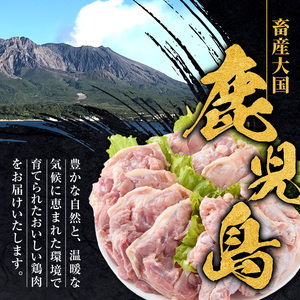 若鶏 ムネ肉 計12kg 2kg×6袋 鹿児島県産 【まつぼっくり】 i448