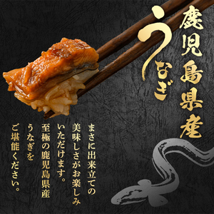 きざみ 鰻 国産 (計300g・60g×5P) 1人暮らし 蒲焼 アクアおおすみ 12029