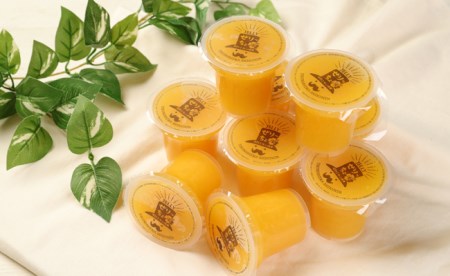徳之島の素材で作った～まぁーいぜりっちょセットスペシャル～ 120ml×9個 合計1.8L ぜりっちょ 果汁入りゼリー シークニン ゼリー おやつ スイーツ 国産 九州産 W-9-N