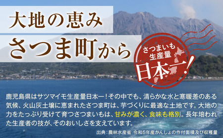 紅はるか 芋 10kg 紅はるか　芋《11月上旬-2月中旬頃出荷》