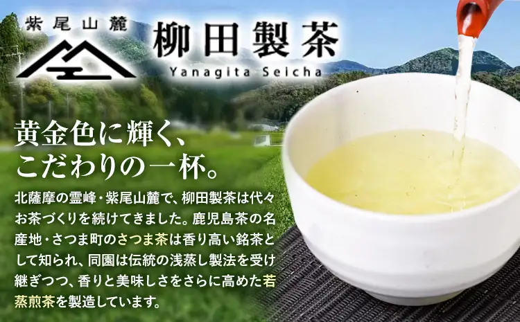 若蒸煎茶 上煎茶 セット 水出しボトル ハリオ 80g 柳田製茶《30日以内に出荷予定(土日祝除く)》鹿児島県 さつま町 ティーパック おうち時間 ティータイム 水出し セット 煎茶 緑茶 日本茶 ギフト 贈答 プレゼント