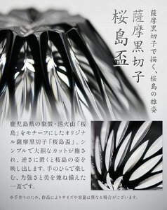 薩摩黒切子 桜島盃 グラス ガラス 最大径78mm×高さ43mm 容量80ml 薩摩びーどろ工芸株式会社《90日以内に出荷予定(土日祝除く)》鹿児島県 さつま町 送料無料 伝統工芸品 切子 コップ 食器