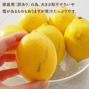 皮まで美味しい無農薬レモン　家庭用1.6kg【栽培期間中農薬不使用】