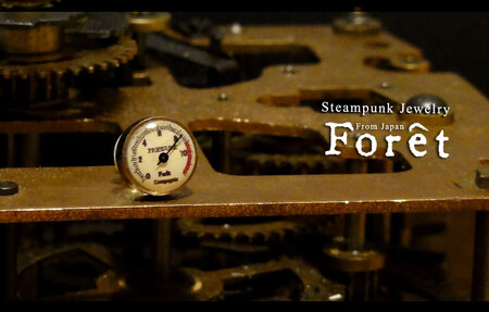 ピアス Steampunk スチームパンク メーターピアス ジュエリー 