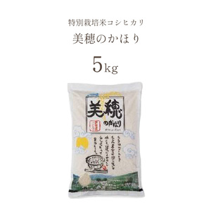令和7年産 米 特別栽培米コシヒカリ 美穂のかほり 5kg