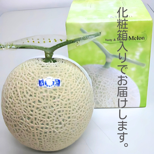 銭形メロン 2玉 化粧箱入り 約2.5kg　［アールスメロン］ 果物類 フルーツ 