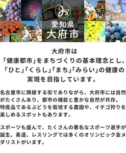 エアウィーヴ 座布団 ネイビー エアウィーヴ