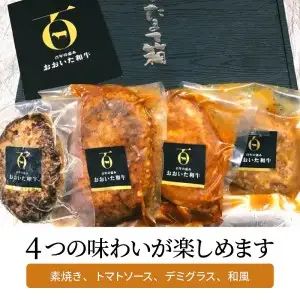 3Dフリーザーで急速冷凍。美味しさそのまま！　4つの味が楽しめる　おおいた和牛100%ハンバーグセット　4個約640ｇ A05051