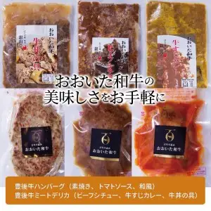 3Dフリーザーで急速冷凍。美味しさそのまま！　大分豊後牛ハンバーグ・ミートデリカセット　約1,080ｇ A05052
