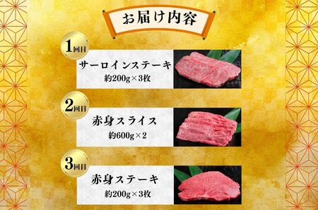 飛騨牛いろいろ定期便　毎月お届け全6回 Bセット サーロイン ｜飛飛騨牛