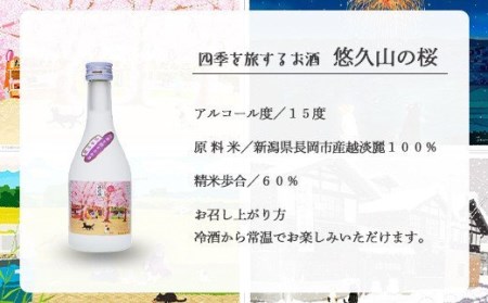 C0-07B越後雪紅梅 四季を旅するお酒 春夏秋冬セット300ml×4本【長谷川酒造】