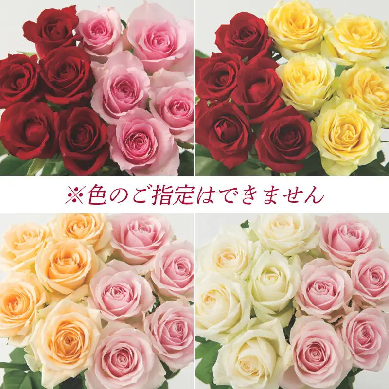 山形産農園直送高級バラ 10本 FZ26-744