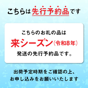 生うに 2026年発送先行予約 無添加 生うに 250g 塩水パック