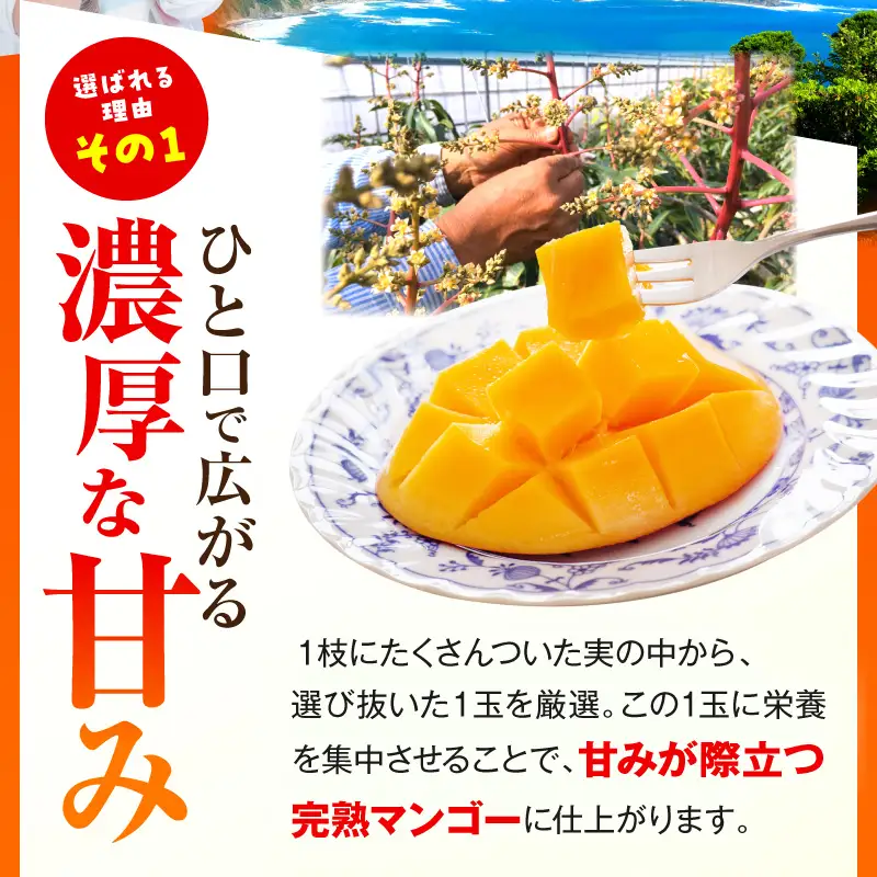 【先行予約】＜数量限定＞宮崎完熟マンゴー 2L×2玉（350g～449g以上×2玉）_K001-016
