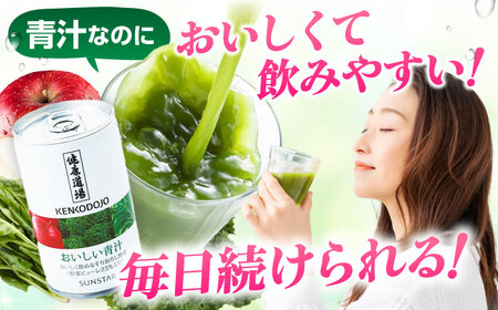 おいしい青汁10本セット×２[AOAD016] 青汁