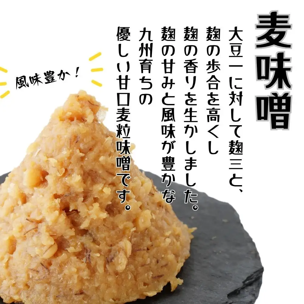 昭和の町麦味噌2kg | 豊後高田市 味噌