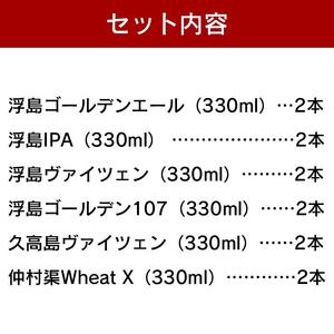 個性あふれる浮島ブルーイングのクラフトビール12本セット｜クラフトビール ビール お酒 沖縄 那覇