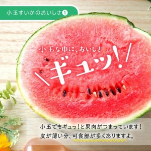 SC0686　酒田の果物専門店厳選　庄内産 小玉すいか　約8kg(4～5玉入)