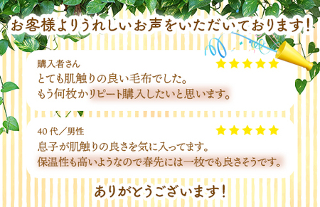 やわらか コットン 100% 吸水性 抜群 綿マイヤー毛布(毛羽部分) シングルサイズ OZ-101 | 毛布 [4597]