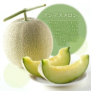 SA2892　特選 庄内産 アンデスメロン　4kg以上(青肉 大玉/2玉入つる付)