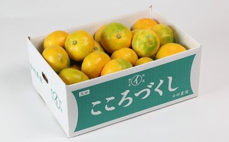 【訳あり・規格外品】今村農園のハウスみかん 約3kg 果物 期間限定 九州 ＜107-001＞