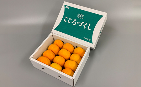 【訳あり・優品】ハウスみかん 約1.5kg 【今村農園】2026年 7月 夏 発送 甘い 果物 フルーツ 柑橘 温州 みかん 先行予約 数量限定 期間限定 九州 大分県 おすすめ ＜107-002＞