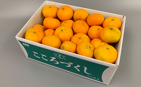 【訳あり・優品】ハウスみかん 約4kg 【今村農園】2026年 7月 夏 発送 甘い 果物 フルーツ 柑橘 温州 みかん 先行予約 数量限定 期間限定 九州 大分県 おすすめ 5kg未満 ＜107-003＞