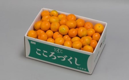 ハウスみかん (訳あり・優品) 約10kg【今村農園】 夏 果物 フルーツ 数量限定 期間限定 九州 大分県 ＜107-004＞