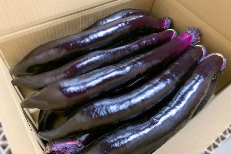 BF002【令和8年度出荷分】皮までおいしい！島原 大長ナス 2kg [ 長崎県 島原市 ]
