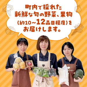 旬の野菜と果物のふるさと便 10～12品 人気 野菜 詰合せ 詰め合わせ セット 新鮮野菜 詰め合わせセット 野菜セット 季節の野菜 トマト みかん ブロッコリー レモン いちご 三重県 多気町 GF-06