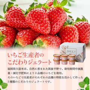 いちごジェラート詰め合わせ(6個入り)_いちご ジェラート 詰め合わせ 100ml 3種類 × 2個 合計 6個 プレミアムいちごミルク ヨーグルトホワイトショコラ 煌めくシャーベット こだわり あまおう 紅ほっぺ かおりの 恋みのり さがほのか アイス デザート お取り寄せ 福岡県 久留米市 送料無料 〔Dw013〕