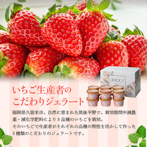 いちごジェラート詰め合わせ(12個入り)_いちご ジェラート 3種類 × 各 4個 100ml 計 12個 詰め合わせ プレミアム いちごミルク あまおう ヨーグルト ホワイトショコラ 紅ほっぺ 煌めく シャーベット かおりの 恋みのり さがほのか ブレンド 誕生日 お中元 ギフト用 おすすめ 久留米市 送料無料 〔Dw014〕