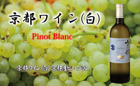 【京丹波のお酒】和食に合う京丹波の地酒と地ワイン飲み比べセット　[018SJ001]