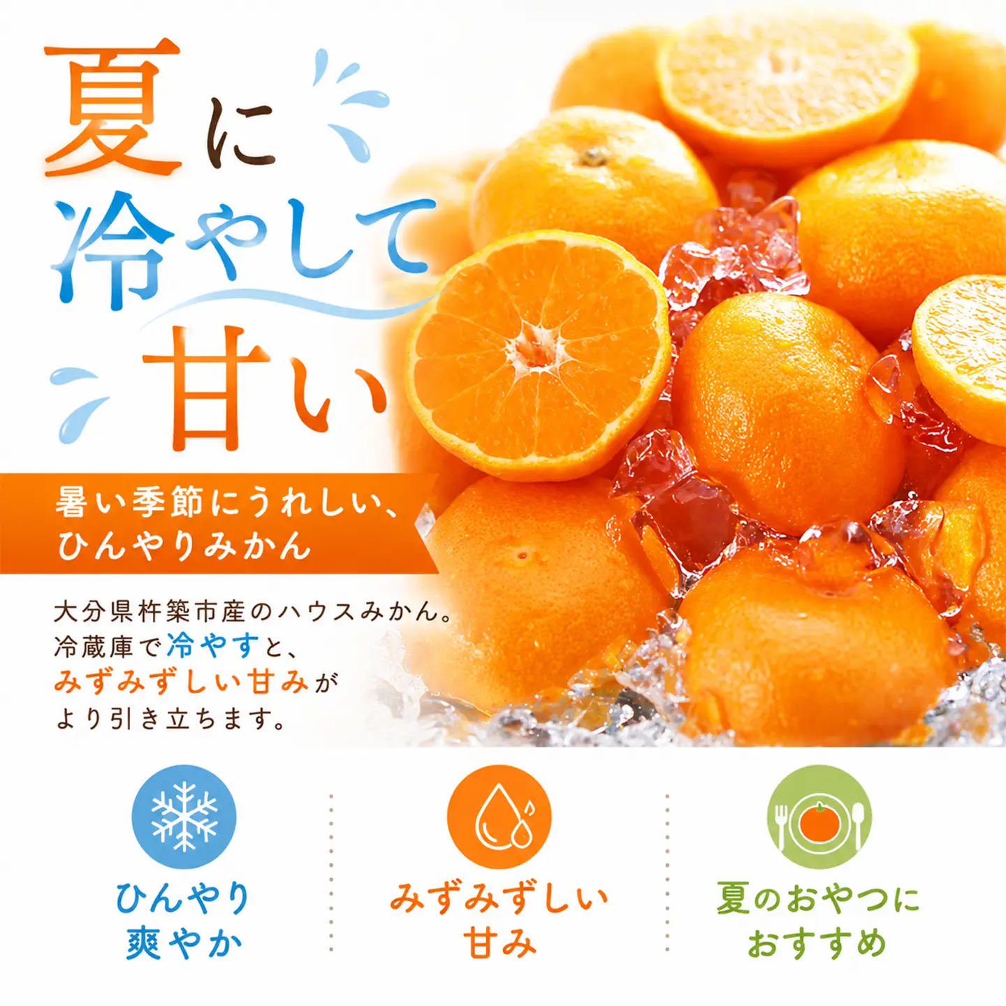 ハウスみかん 温室みかん ミカン ハウスミカン 温室ミカン 贈答用 1kg 秀品 ギフト 6月 7月 先行予約 大分 ／ハウスみかん約1kg（化粧箱入） ＜132-010＞