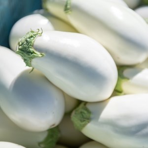 宝石野菜 白なす_宝石野菜 白なす 9個 果肉 柔らかい アクが少ない トロトロ 舌触り 野菜 揚げ焼き バター焼き 田楽 煮浸し 揚げ浸し 浅漬け 味噌汁 天ぷら 炒め物 常温配送 国産 ナス 夏野菜 お取り寄せ 福岡県 久留米市 送料無料 〔Gv018〕