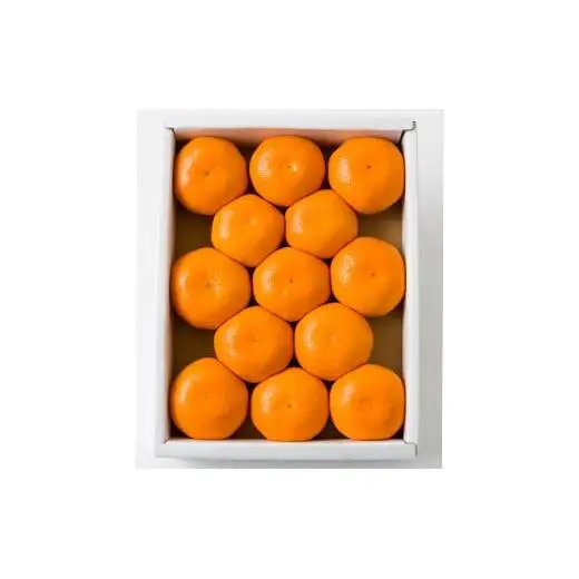 【糖度13度以上！】[プレミアムハウスみかんR13] 1kg 化粧箱入 みかん 温州 温州みかん 温州ミカン 1kg 甘い 秀品 柑橘類 糖度 6月 7月 ハウスみかん フルーツ 先行予約 九州 大分 杵築 ＜132-013＞
