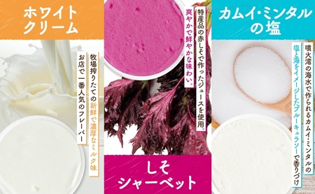 北海道 まきばのジェラート 6種 各2個 計12個 セット ジェラート ミルク 赤しそ カムイミンタルの塩 とうもろこし かぼちゃ 白花豆 アイスクリーム 保存料不使用 シャーベット 地産地消 アイス 牛乳 氷菓 お取り寄せ グルメ ギフト 送料無料 スイーツ 