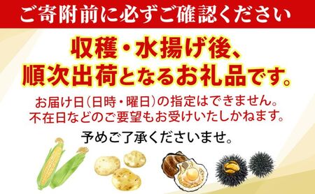 北海道産 青野農園 めぐみ ゴールド 2Lサイズ 約10kg 先行受付 2026年8月中旬頃から出荷 スイートコーン 北海道 とうもろこし トウモロコシ コーン 恵味 旬 朝採れ 新鮮 野菜 農作物 産地直送 甘い 
