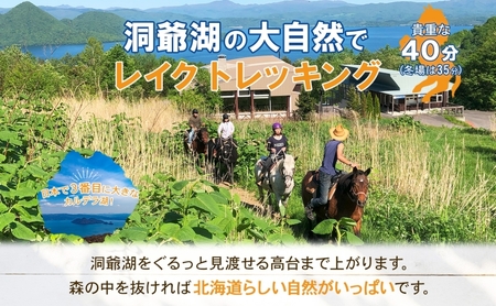  北海道 乗馬体験 40分コース ペア券 ホース トレッキング 絶景 自然 貴重 体験 経験 景色 ふれあい 血統馬 初心者 本格的 のんびり お子様 大人 楽しい レイクトーヤランチ 洞爺湖 体験チケット 
