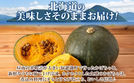 北海道産 冷凍カット野菜 100g×6袋 かぼちゃ パンプキン 南瓜 野菜 冷凍食品 アレンジ 料理 付け合わせ おかず 惣菜 簡単 便利 一人暮らし 小分け BBQ キャンプ 弁当 送料無料 冷凍 北海道 洞爺湖町