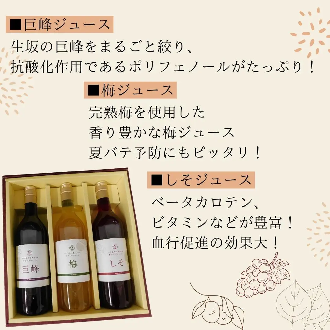 かあさん家 手作りジュースセット (巨峰・梅・しそ) 手作りジュースセット 生坂村農業公社 | 手作りジュースセット