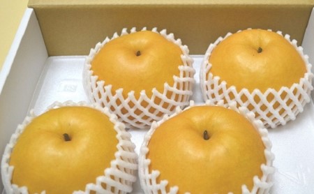 フルーツの里の直売所より 新高梨 2.5kg ナシ 果物 先行予約 