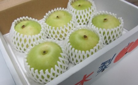 フルーツの里の直売所より 二十世紀梨 5kg ナシ 果物 先行予約 