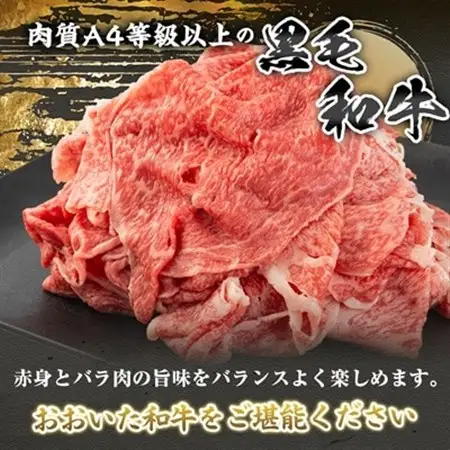 おおいた和牛　切り落とし(500g)_牛肉  肉  和牛  おおいた和牛  国産牛  お肉  _【配送不可地域：離島】【1104199】