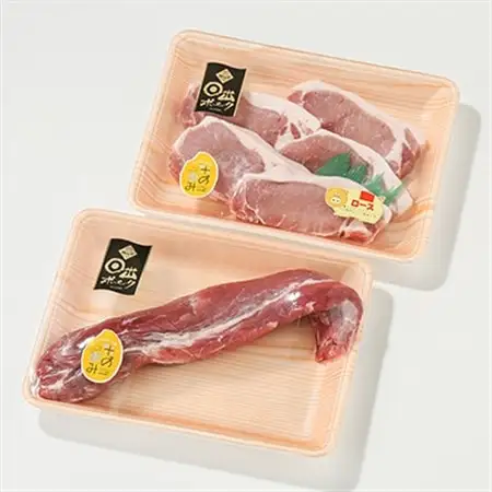 【日出ポーク】豚ロース100g×5枚+ヒレブロック1本_肉  豚肉 _【配送不可地域：離島】【1098109】